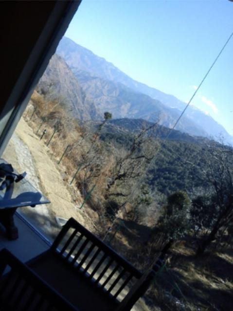 Natureraga Fernhill Resort Chail Luaran gambar