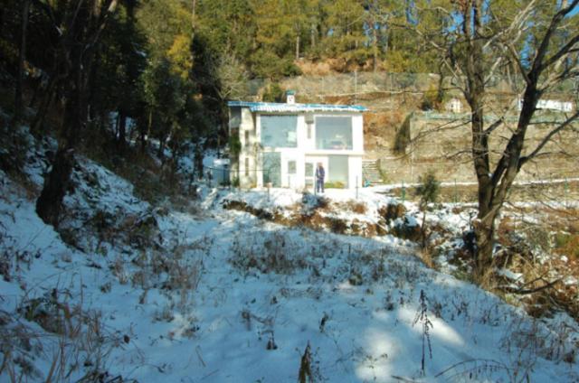 Natureraga Fernhill Resort Chail Luaran gambar
