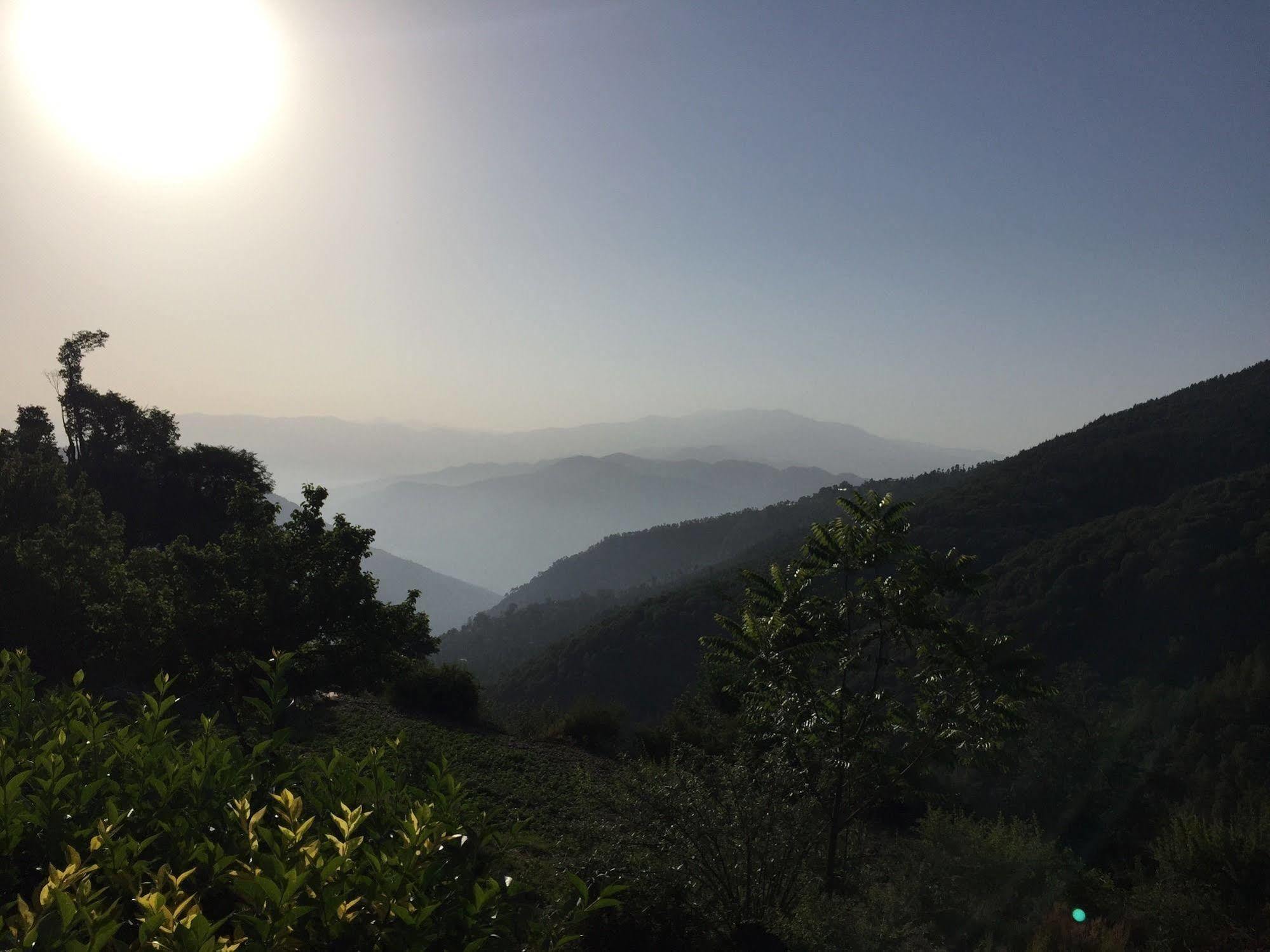Natureraga Fernhill Resort Chail Luaran gambar